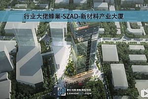 行业大佬蜂巢-SZAD-新材料产业大厦