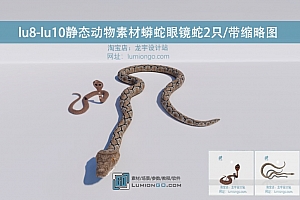 lu8-lu10静态动物素材蟒蛇眼镜蛇2只/带缩略图