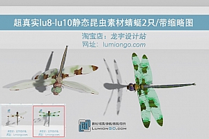 超真实lu8-lu12静态昆虫素材蜻蜓2只/带缩略图