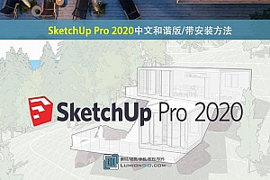 SketchUp Pro 2020中文和谐版/带安装方法