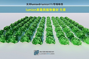 lumion果蔬类植物素材 生菜/支持lu8-lu11/带缩略图