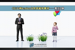 CSJ大神lumion自然库植物素材——免费葱兰2棵/支持lumion8-lumion10.5