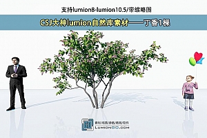 CSJ大神lumion自然库素材——丁香1棵(免费)