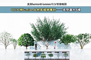 CSJ大神lumion自然库植物素材——造型灌木6棵
