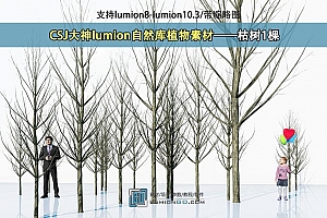CSJ大神lumion自然库植物素材——枯树1棵