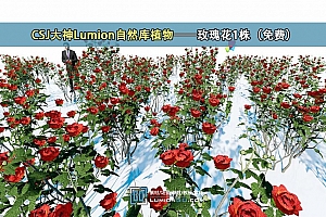 CSJ大神Lumion自然库植物——玫瑰花1株(免费)支持lu8-lu10.3