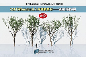 CSJ大神lumion自入库植物素材——孤植乌桕4棵