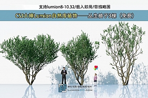 CSJ大神Lumion自然库植物——丛生柚子3棵(免费)