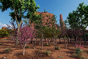 Lumion11-12内置扩展植物库(抢先体验)