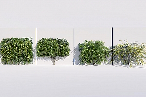 Lumion全系通用内置扩展植物库-迎春花爬藤4棵