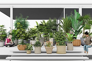 Lumion全系通用内置扩展库-植物盆栽26个