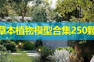 草本植物模型合集250颗