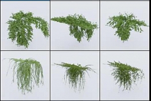 lumion11藤蔓植物一组12个 ——大蛇建筑