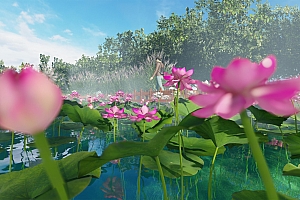 荷花莲花模型3颗带场景