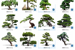 SU造型松造型植物树2D模型92个