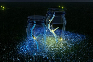 lumion动态素材萤火虫瓶两个