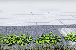 草本植物马蹄金模型1颗