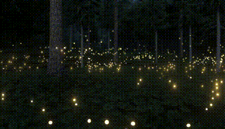 Lumion精品动态素材-6组萤火虫